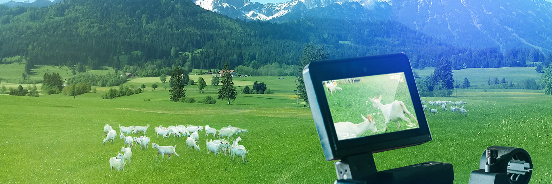 中国·7790必发集团(股份)有限公司-官方网站