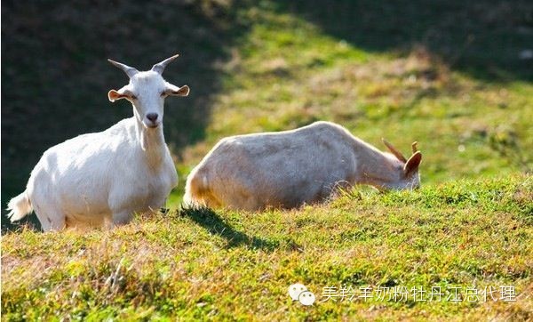 中国·7790必发集团(股份)有限公司-官方网站