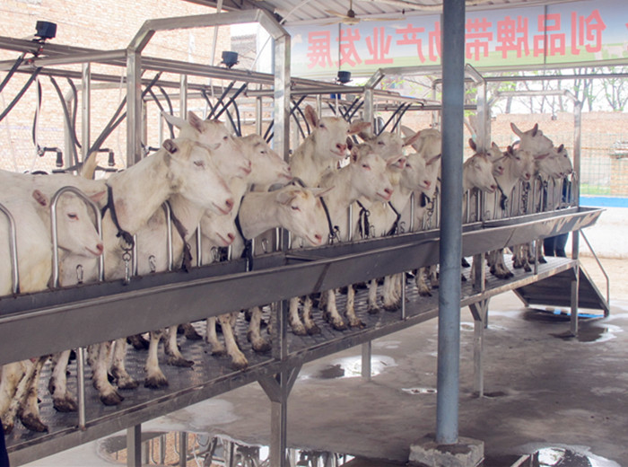 中国·7790必发集团(股份)有限公司-官方网站