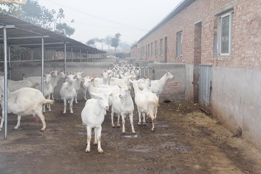 中国·7790必发集团(股份)有限公司-官方网站