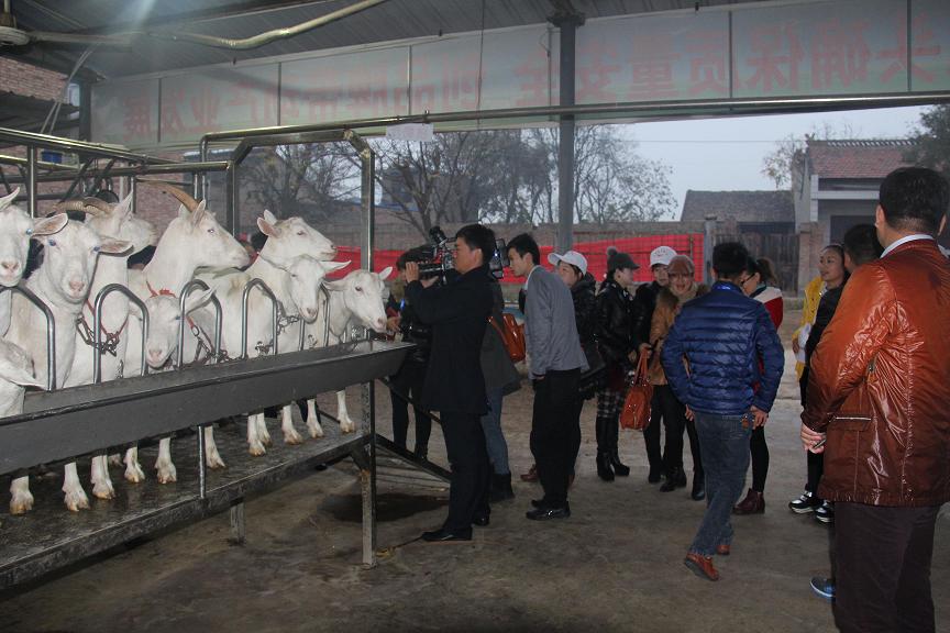 中国·7790必发集团(股份)有限公司-官方网站