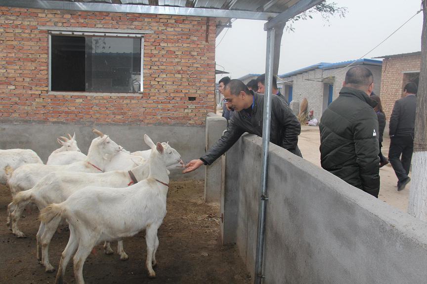 中国·7790必发集团(股份)有限公司-官方网站