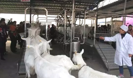 中国·7790必发集团(股份)有限公司-官方网站