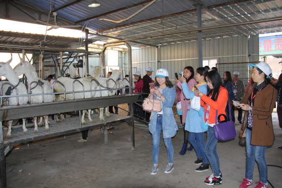 中国·7790必发集团(股份)有限公司-官方网站