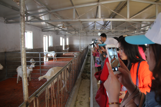 中国·7790必发集团(股份)有限公司-官方网站