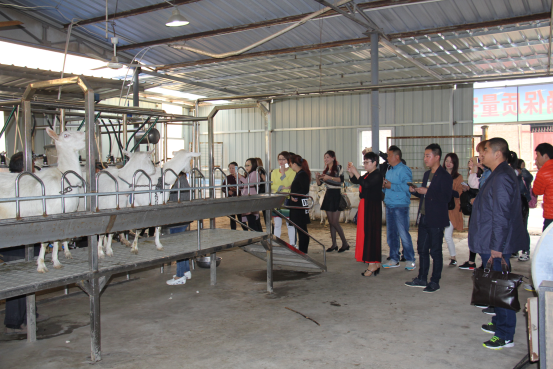 中国·7790必发集团(股份)有限公司-官方网站