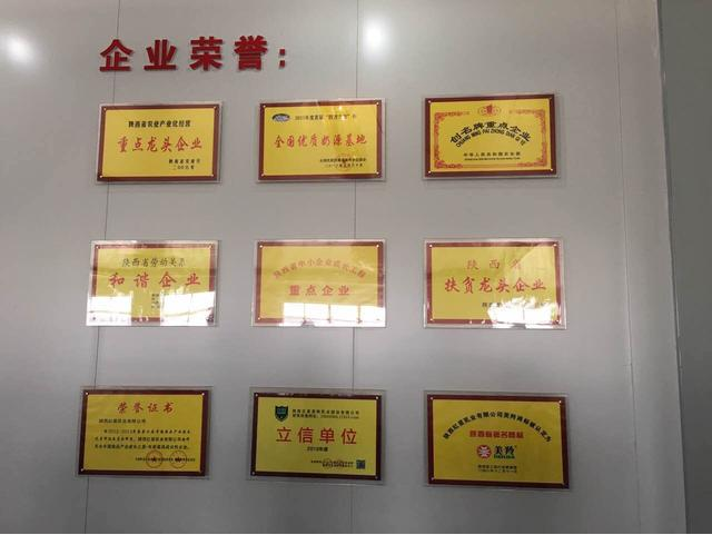 中国·7790必发集团(股份)有限公司-官方网站