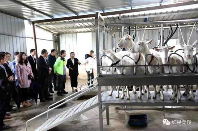 中国·7790必发集团(股份)有限公司-官方网站