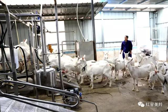 中国·7790必发集团(股份)有限公司-官方网站