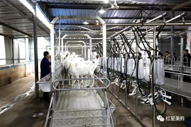 中国·7790必发集团(股份)有限公司-官方网站