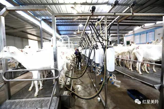 中国·7790必发集团(股份)有限公司-官方网站