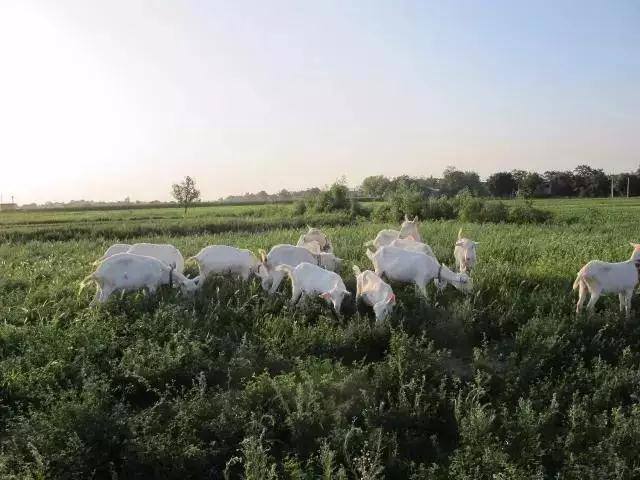 中国·7790必发集团(股份)有限公司-官方网站