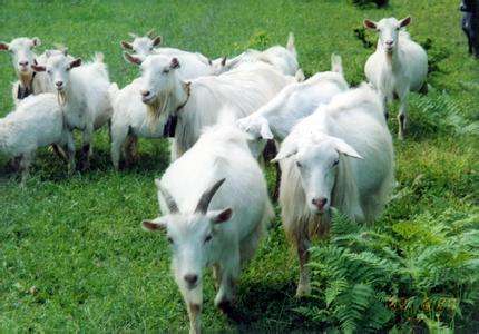 中国·7790必发集团(股份)有限公司-官方网站