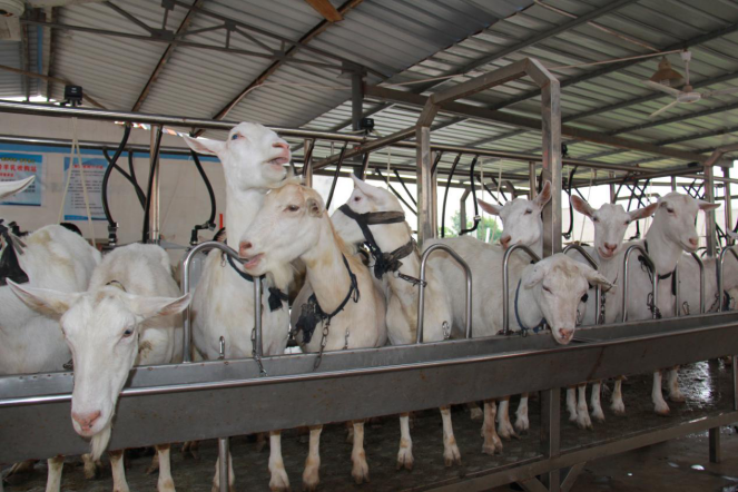 中国·7790必发集团(股份)有限公司-官方网站