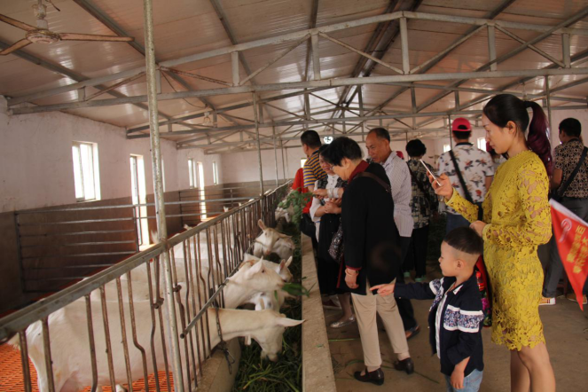 中国·7790必发集团(股份)有限公司-官方网站