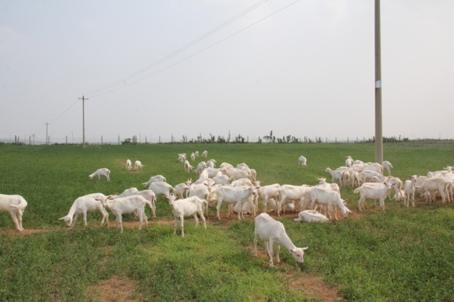 中国·7790必发集团(股份)有限公司-官方网站