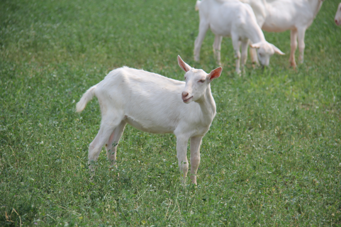 中国·7790必发集团(股份)有限公司-官方网站