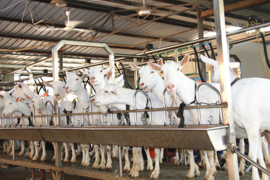 中国·7790必发集团(股份)有限公司-官方网站