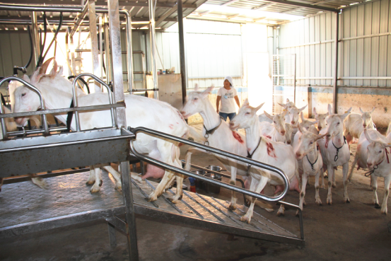 中国·7790必发集团(股份)有限公司-官方网站