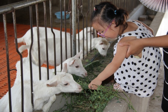 中国·7790必发集团(股份)有限公司-官方网站