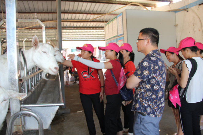 中国·7790必发集团(股份)有限公司-官方网站