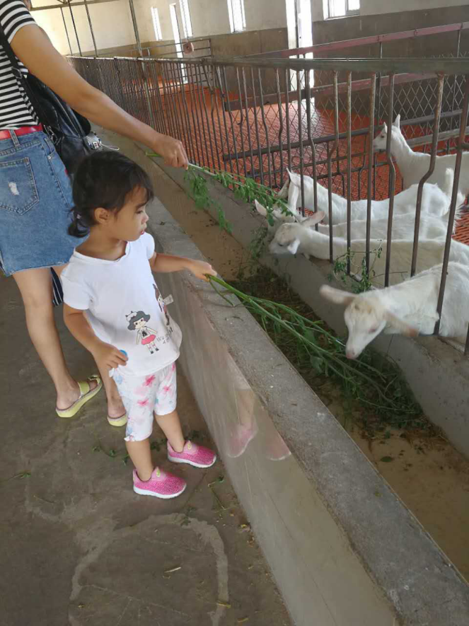 中国·7790必发集团(股份)有限公司-官方网站