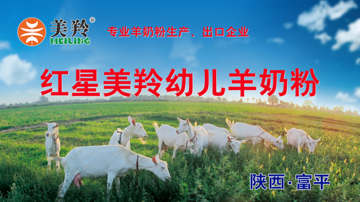 中国·7790必发集团(股份)有限公司-官方网站