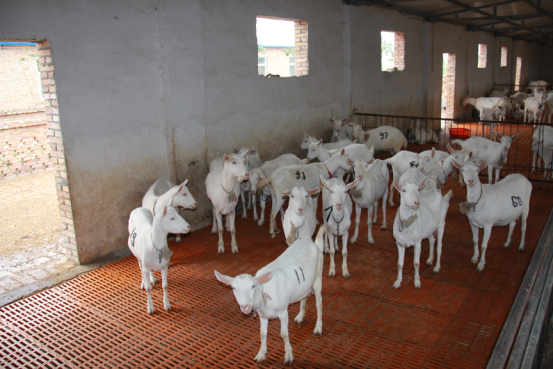 中国·7790必发集团(股份)有限公司-官方网站