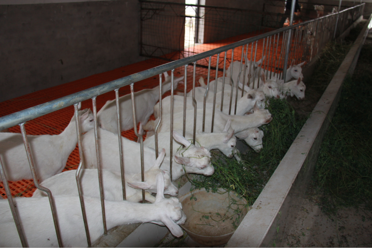 中国·7790必发集团(股份)有限公司-官方网站