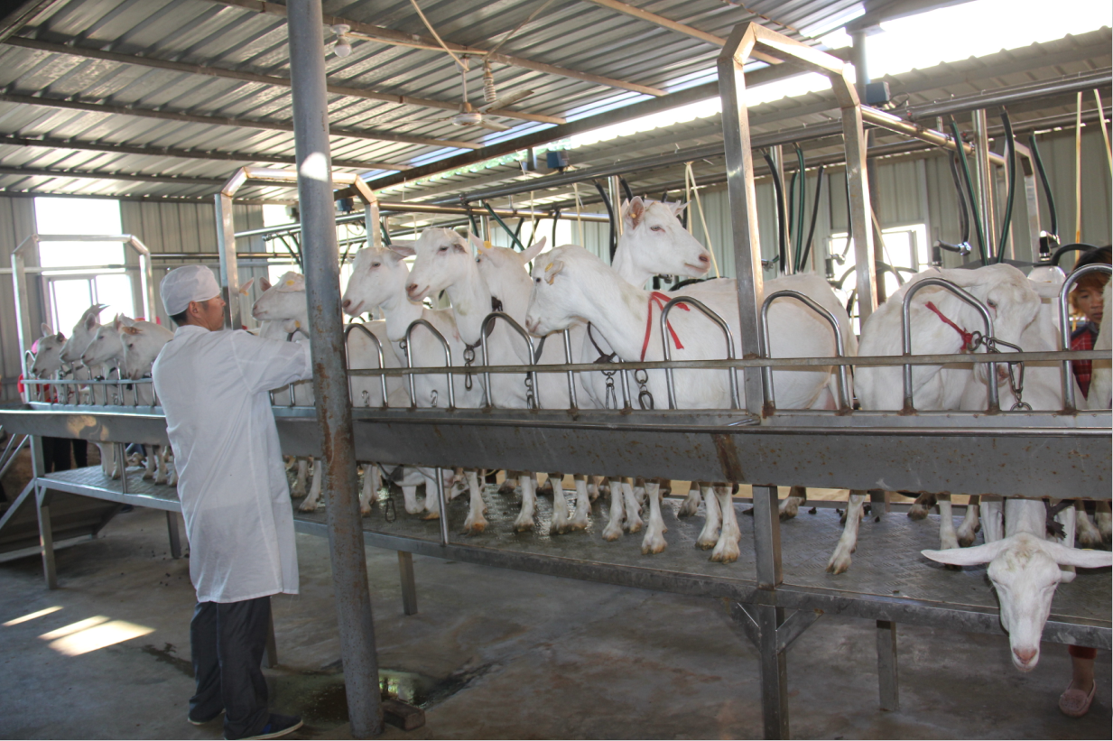 中国·7790必发集团(股份)有限公司-官方网站