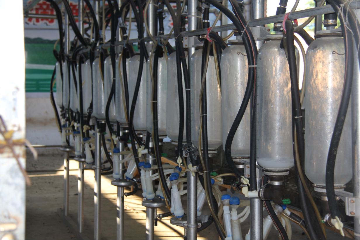 中国·7790必发集团(股份)有限公司-官方网站