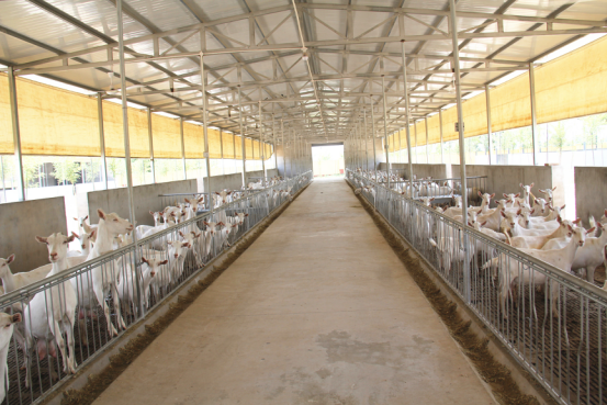 中国·7790必发集团(股份)有限公司-官方网站