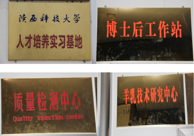 中国·7790必发集团(股份)有限公司-官方网站