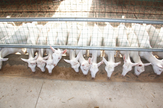 中国·7790必发集团(股份)有限公司-官方网站