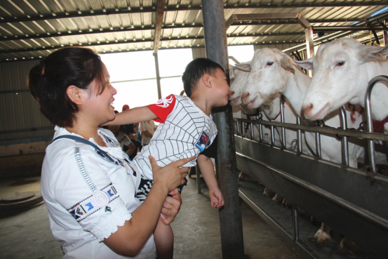 中国·7790必发集团(股份)有限公司-官方网站