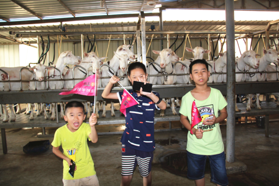 中国·7790必发集团(股份)有限公司-官方网站