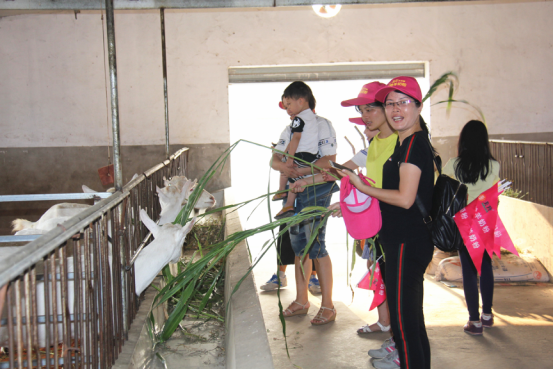 中国·7790必发集团(股份)有限公司-官方网站