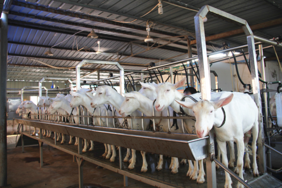 中国·7790必发集团(股份)有限公司-官方网站