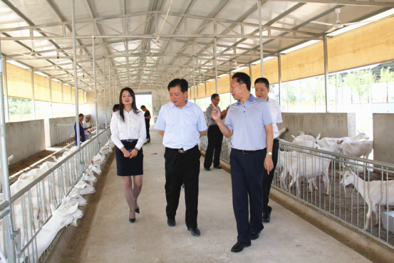 中国·7790必发集团(股份)有限公司-官方网站