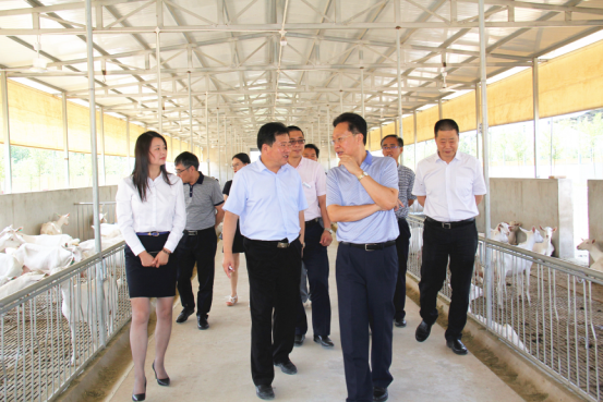 中国·7790必发集团(股份)有限公司-官方网站