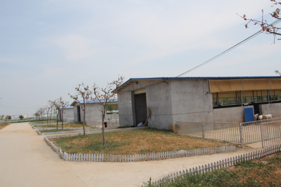 中国·7790必发集团(股份)有限公司-官方网站