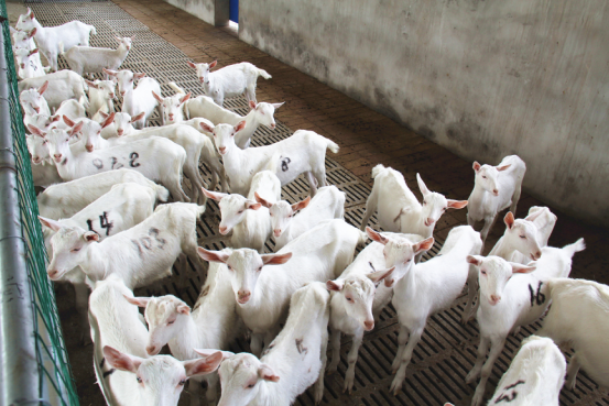 中国·7790必发集团(股份)有限公司-官方网站