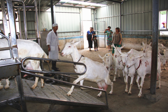 中国·7790必发集团(股份)有限公司-官方网站