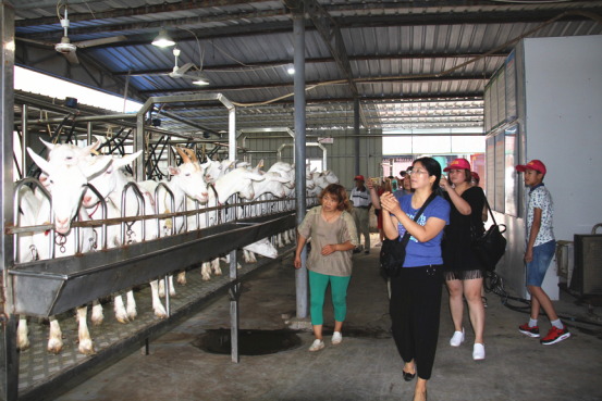 中国·7790必发集团(股份)有限公司-官方网站