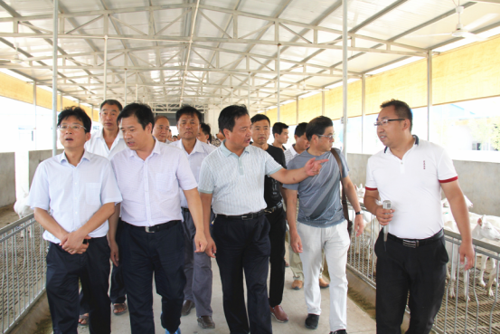 中国·7790必发集团(股份)有限公司-官方网站