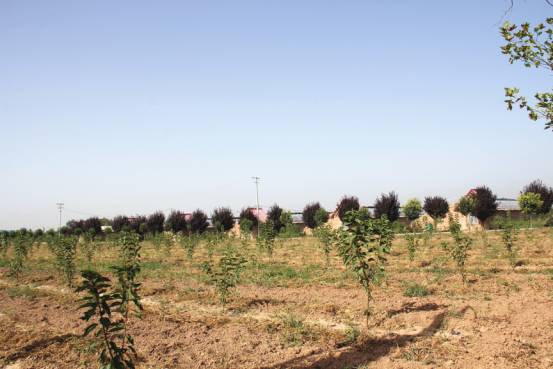 中国·7790必发集团(股份)有限公司-官方网站