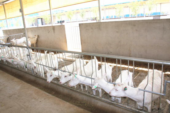 中国·7790必发集团(股份)有限公司-官方网站