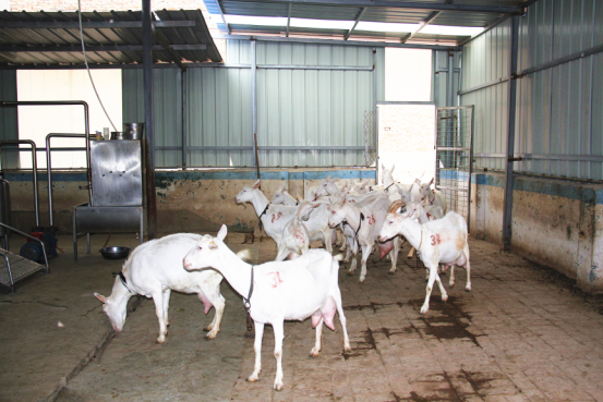 中国·7790必发集团(股份)有限公司-官方网站