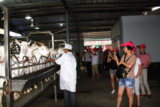 中国·7790必发集团(股份)有限公司-官方网站