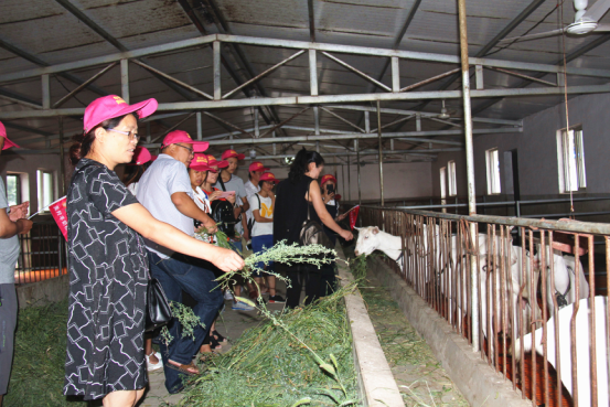 中国·7790必发集团(股份)有限公司-官方网站